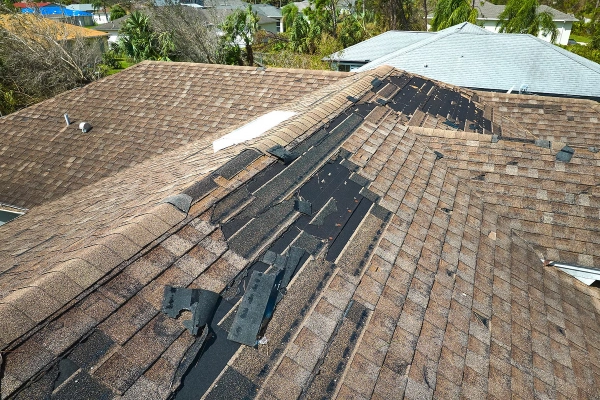 Visible gaps or missing sections